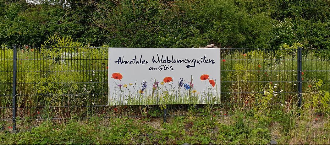 Ahnataler Wildblumengarten