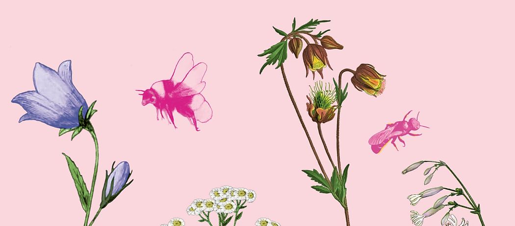 Cover DGG Journal 2026