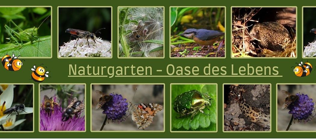 Naturgarten Collage