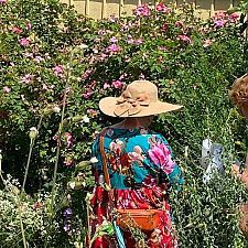 Drei Gartenfreundinnen bestaunen den Wachtberger Schaugarten, in dem alle möglichen Wildpflanzen zu finden sind.