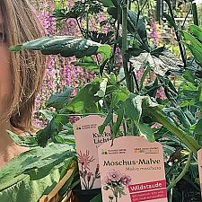 News Wilder Stadtgarten