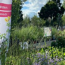 Naturnahe Gartengestaltung - Fachtraining für Praktiker*innen!